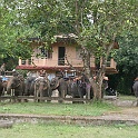 India & Nepal 2011 - 0535